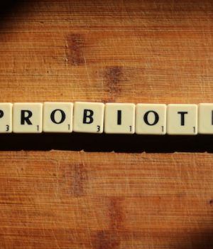 la microbiota