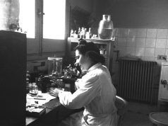 El papel de las primeras mujeres en la medicina las primeras mujeres en la medicina