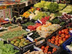 ¿Existe la alimentación regenerativa? regenerativa