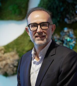 Dr. V alonso Inflammaging