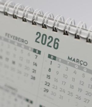 los 12 meses